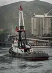 Ρυμουλκό πλοίο προς πώληση