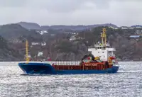 Πλοίο μεταφοράς χύδην φορτίου προς πώληση