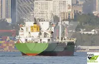 Πλοίο μεταφοράς χύδην φορτίου προς πώληση