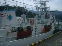 Τράτα αλιείας προς πώληση