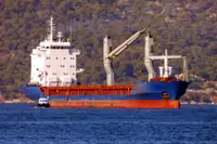 Πλοίο μεταφοράς χύδην φορτίου προς πώληση