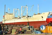 Πλοίο Reefer προς πώληση