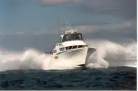 Σκάφη εργασίας προς πώληση