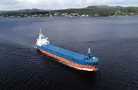 Πλοίο μεταφοράς χύδην φορτίου προς πώληση