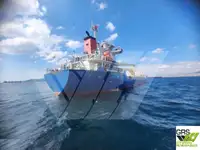 Πλοίο μεταφοράς χύδην φορτίου προς πώληση