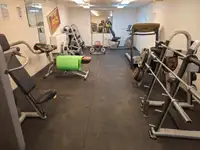 Φορτηγίδα προς πώληση