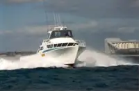 Σκάφη εργασίας προς πώληση