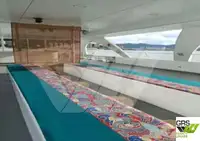 Μηχανοκίνητο σκάφος προς πώληση