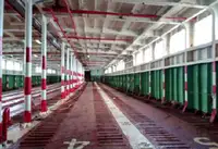 Πλοίο RORO προς πώληση